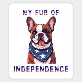 French Bulldog Funny USA Flag 4th of July Fur Of Independence Magnet